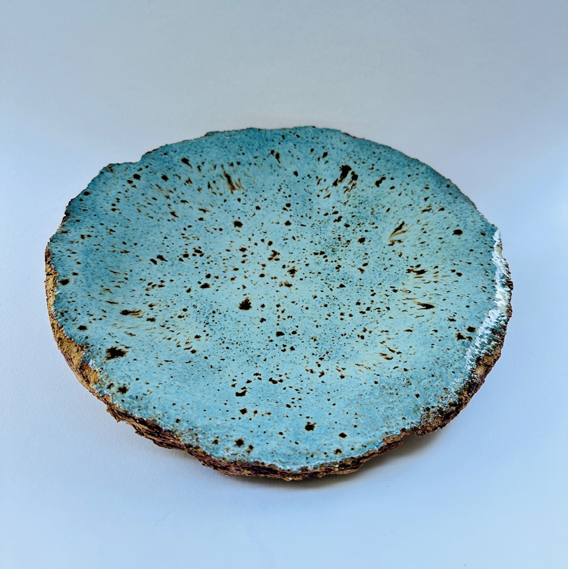 IBC 26cm duckegg speckle dish IBC 26cm duckegg speckle dish